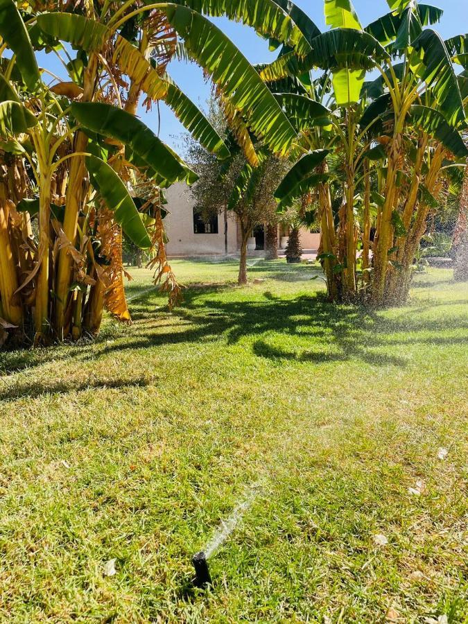 Villa Msholidays Victoria Privatisee Marrakech Marrakesh Exterior foto